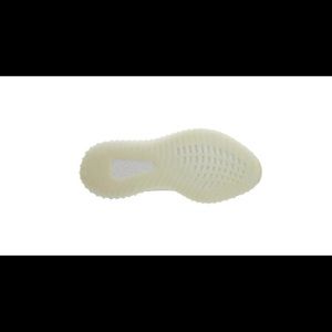 Adidas yeezy boost 350 v2